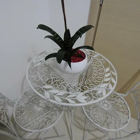 Bed & Breakfast Dell'angelo